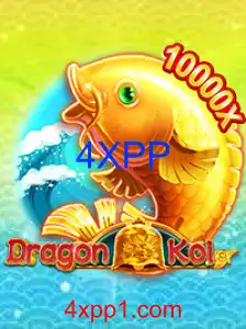 DragonKoi
